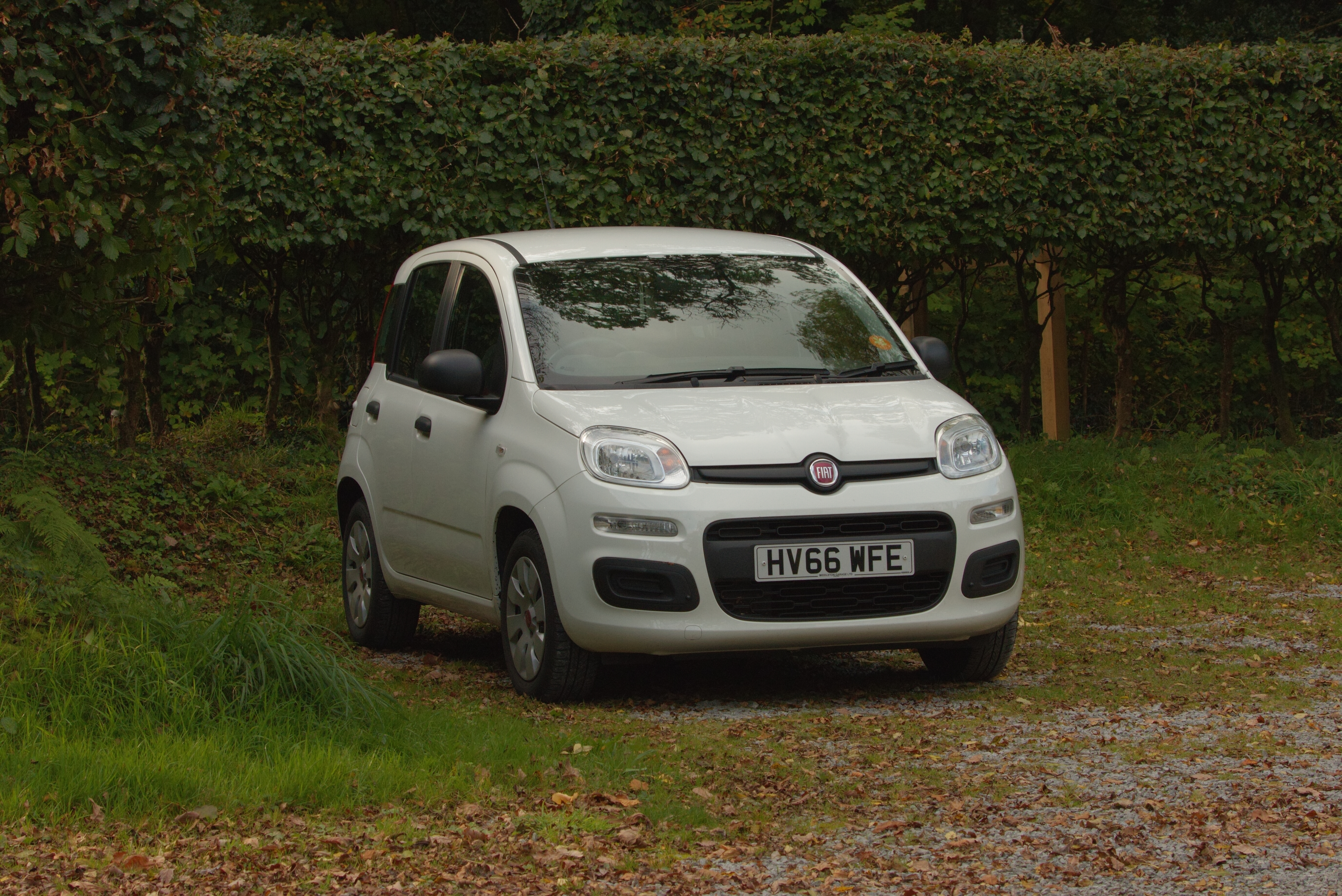White Fiat Panda.jpg